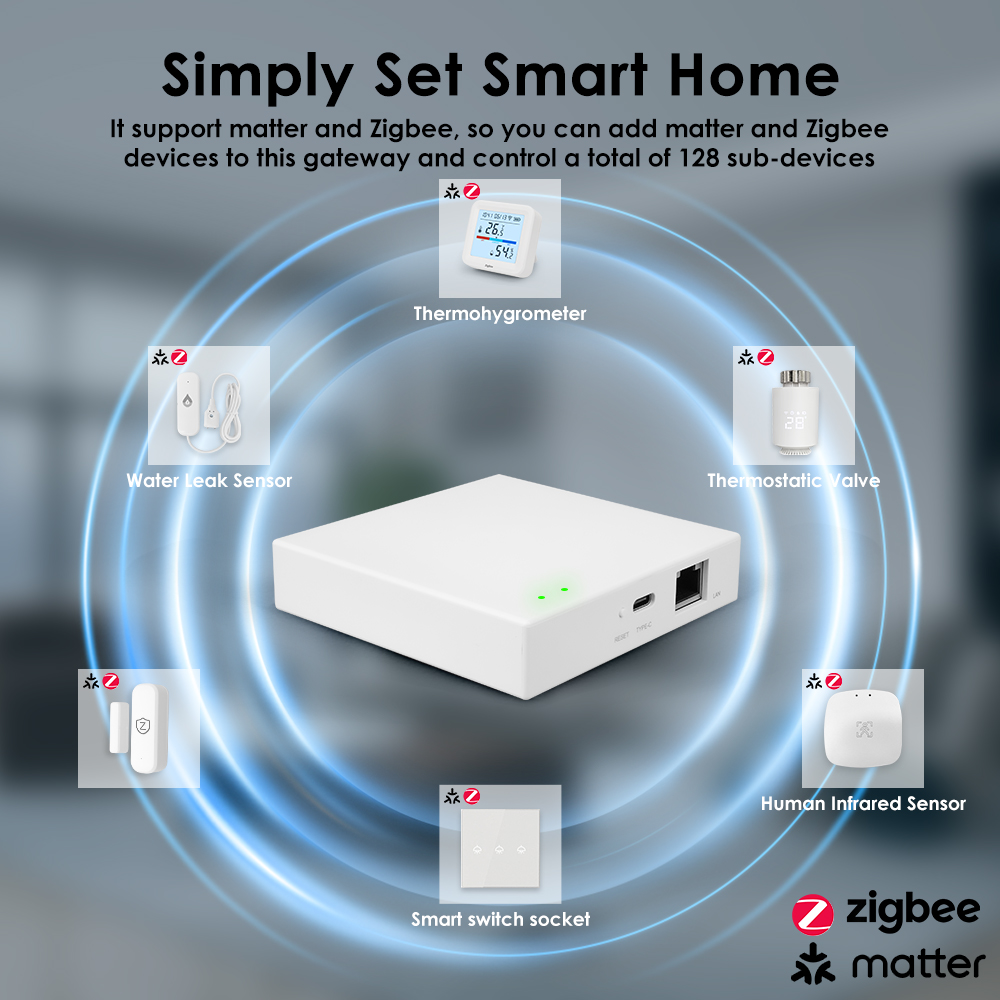 Tuya Zigbee Matter Kablolu Ağ  - Smart Home Offline System incelemesi ve fiyatı