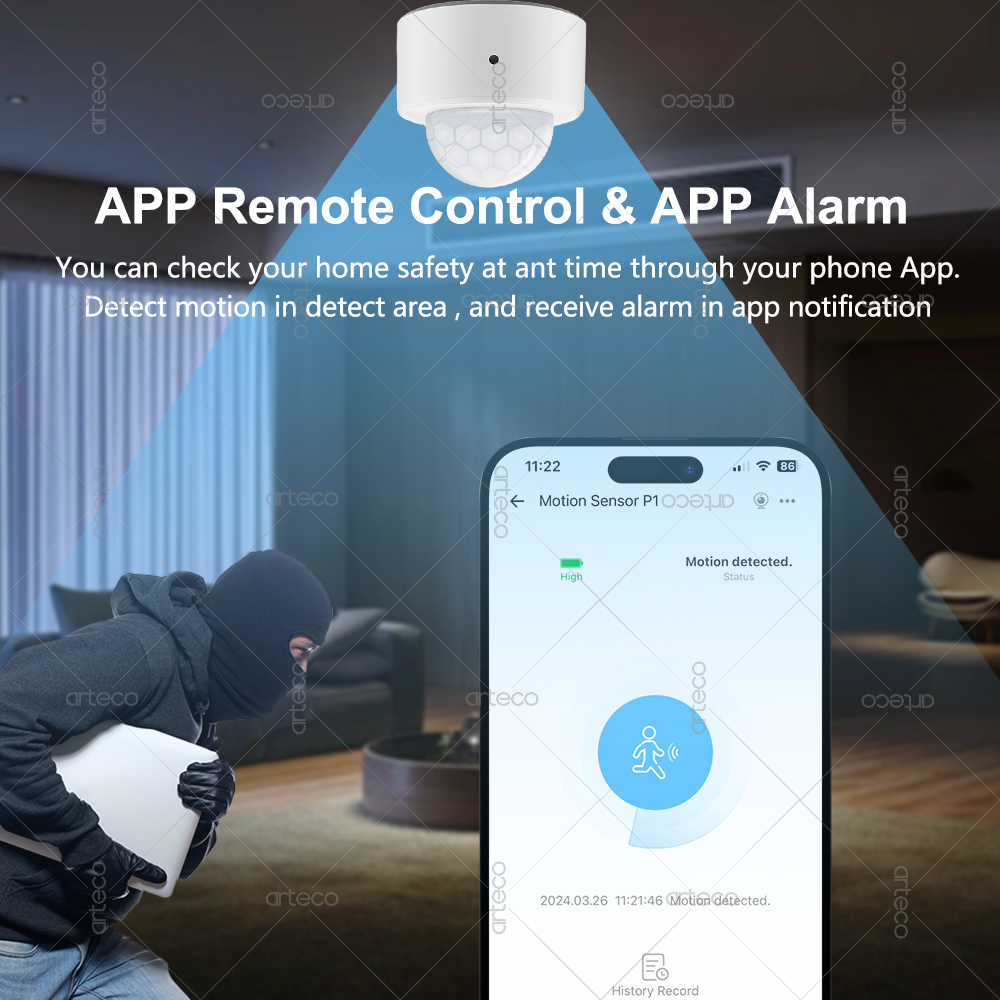 Ewelink Zigbee PIR Hareket Sen - Zigbee Motion Sensor incelemesi ve fiyatı