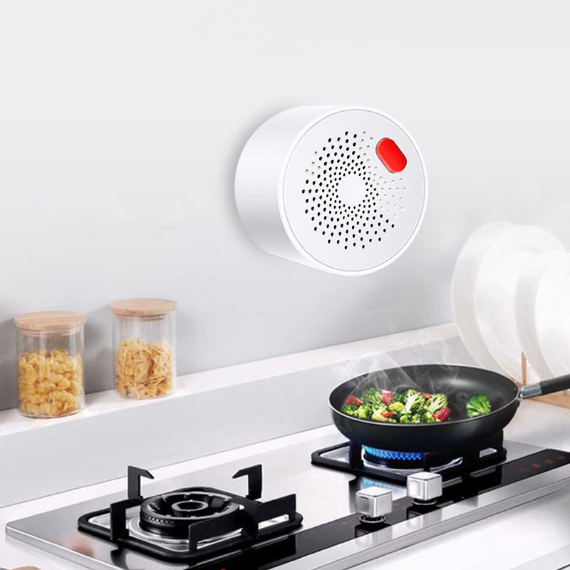 Tuya akıllı ev Wifi doğal gaz  - Smart Home Outdoor incelemesi ve fiyatı