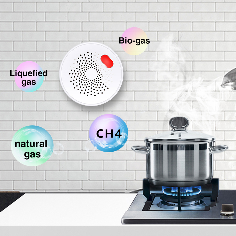 Tuya akıllı ev Wifi doğal gaz  - Smart Home Outdoor incelemesi ve fiyatı