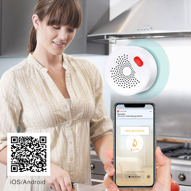 Tuya akıllı ev Wifi doğal gaz  - Smart Home Outdoor incelemesi ve fiyatı
